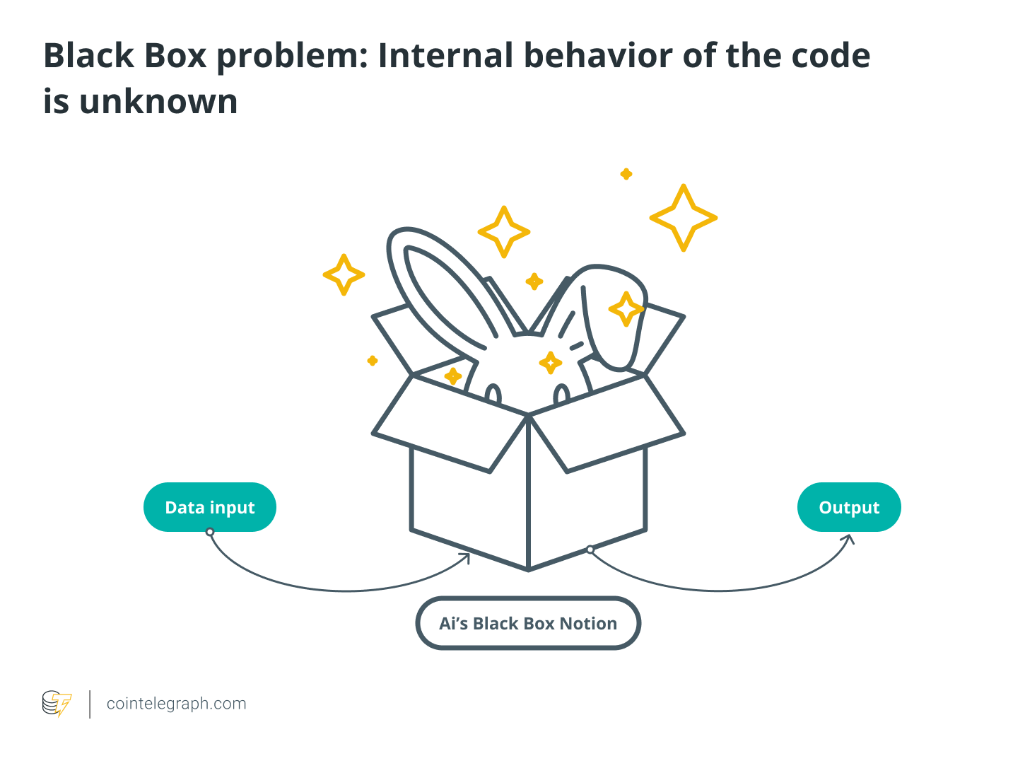 Black Box problem: Internal behavior of the code is unknown 