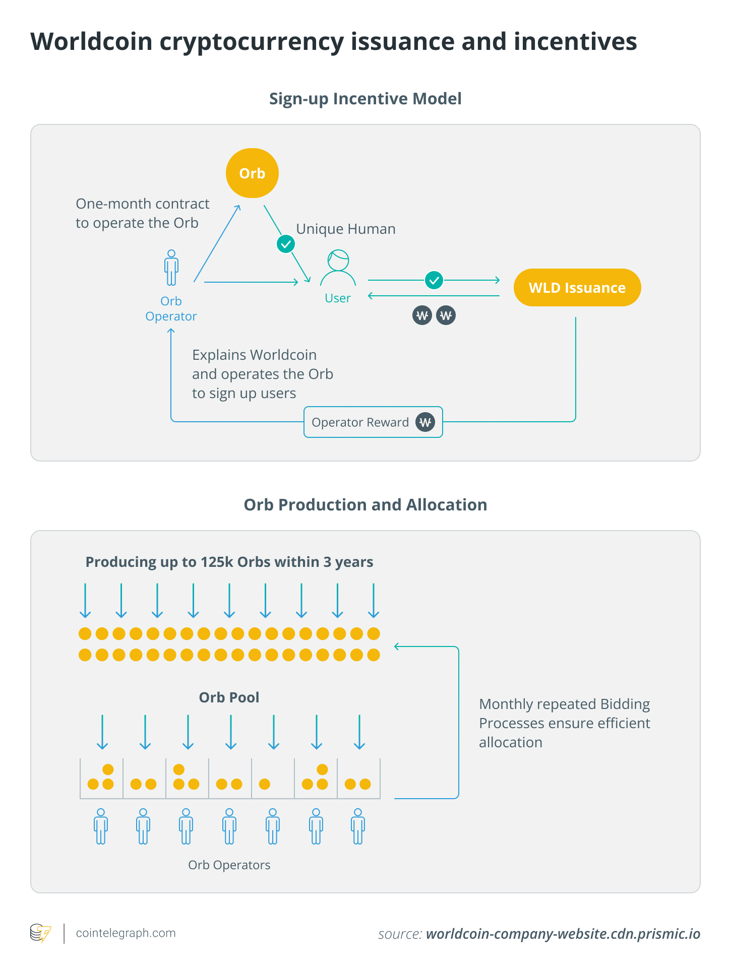 Worldcoin cryptocurrency issuance and incentives