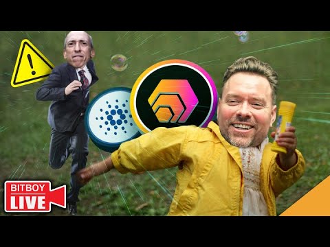 HEX Founder Charged By SEC! (INCREDIBLE Cardano Upgrade👀)