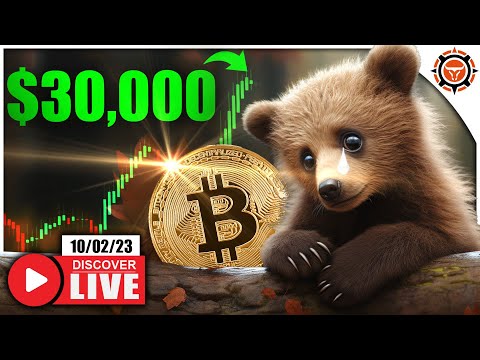 Bitcoin Bears WRECKED! (New 2023 Highs Coming?)