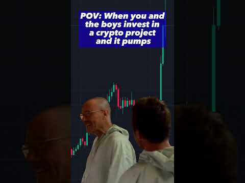 When You and the Boys Invest in a Crypto Project and it Pumps