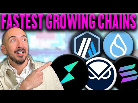 Top 5 Fastest Growing Crypto Ecosystems! (2024 Biggest Movers?)