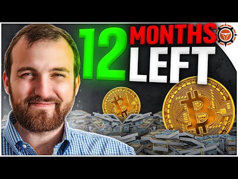 Shocking $250k Bitcoin Price PREDICTION! Cardano & Ethereum Founder Speaks Out